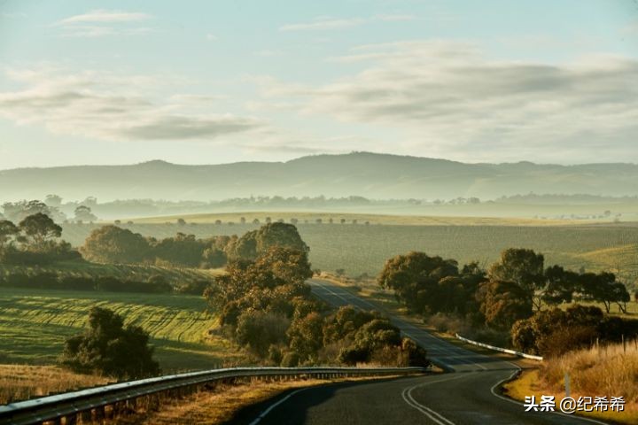 除了奔富还有什么硬通货,推荐几款物美价廉的澳洲红酒