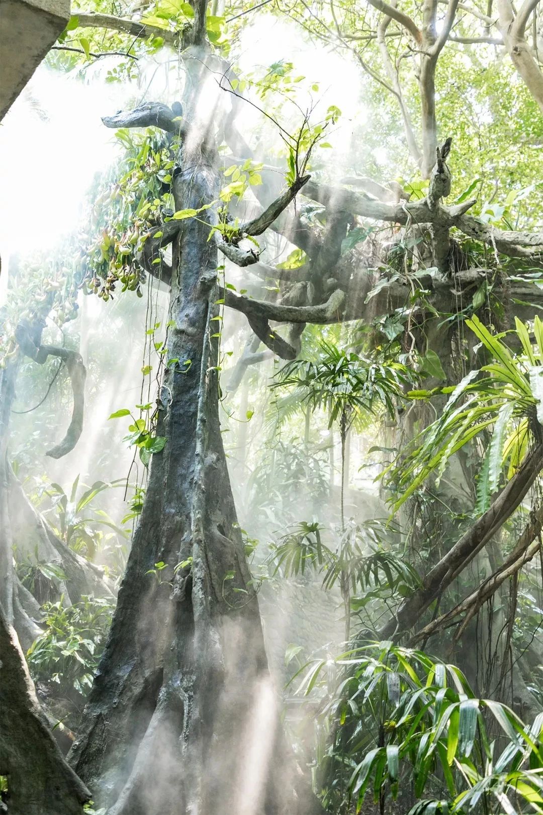 深圳10大旅游好去处,深圳盐田区周末休闲浪漫好去处