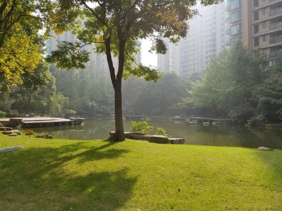 国际丽都城250平方,国际丽都城