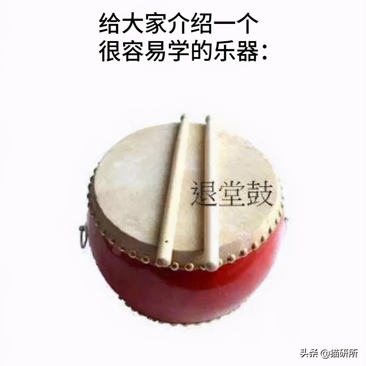 宠物猫植入芯片有什么要注意的,猫咪植入芯片注意事项