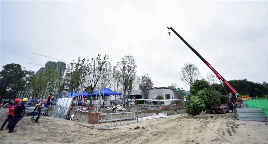 双流做什么生意挣钱,双流哪里最合适创业