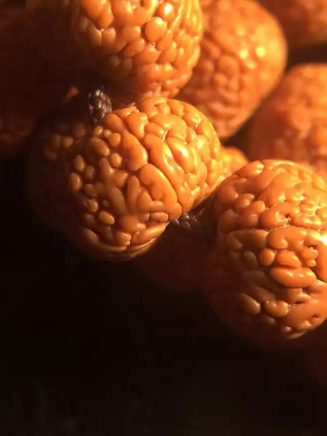 金刚菩提表面纹路磨损,金刚菩提脖串什么纹路的好