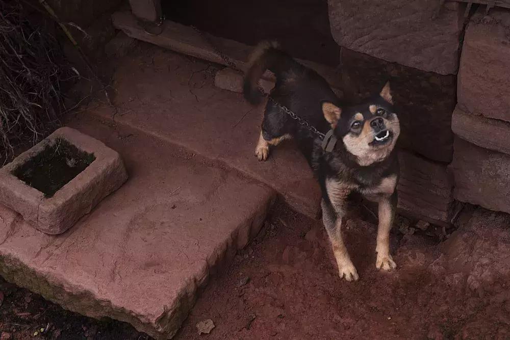 渝北枇杷正黄，冒冒失失穿越铁壁、胜保、斗碗三寨