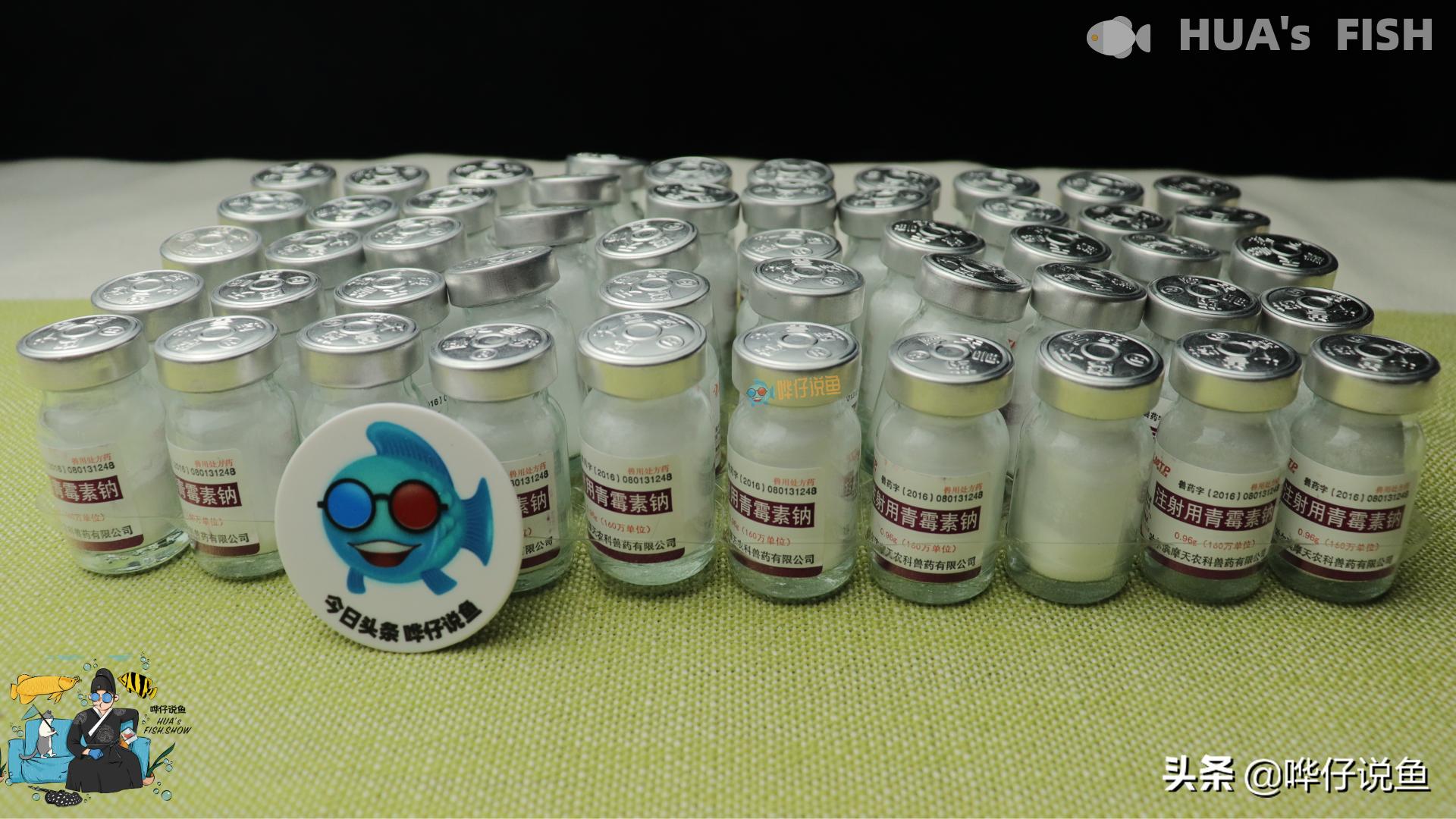 观赏鱼青霉素和土霉素有什么区别,青霉素大剂量对人有什么危害