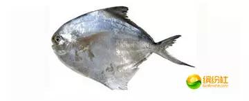 舟山4月份海鲜攻略,舟山海鲜代加工攻略