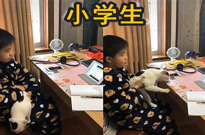 初中生网课一周的情况,初三学生网课现状