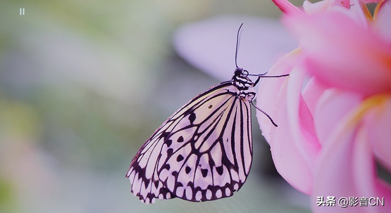 爱普生投影仪ch-tw5400清晰度,爱普生tw5800是激光投影仪吗