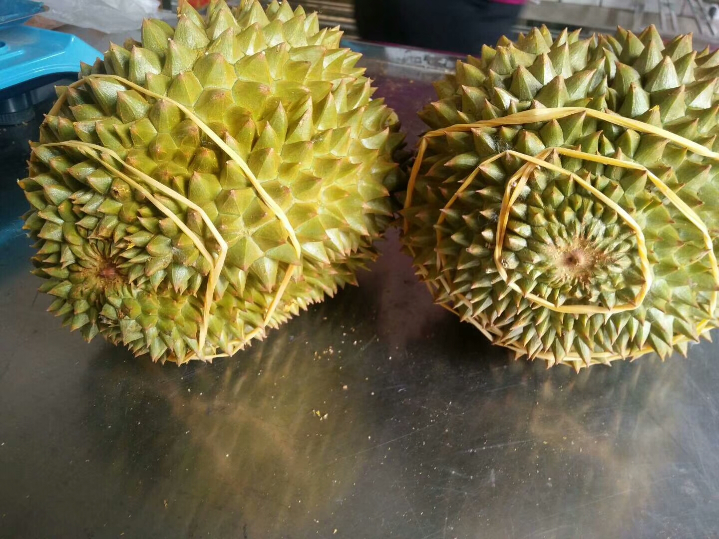 榴莲品种d13,泰国榴莲d197是什么品种