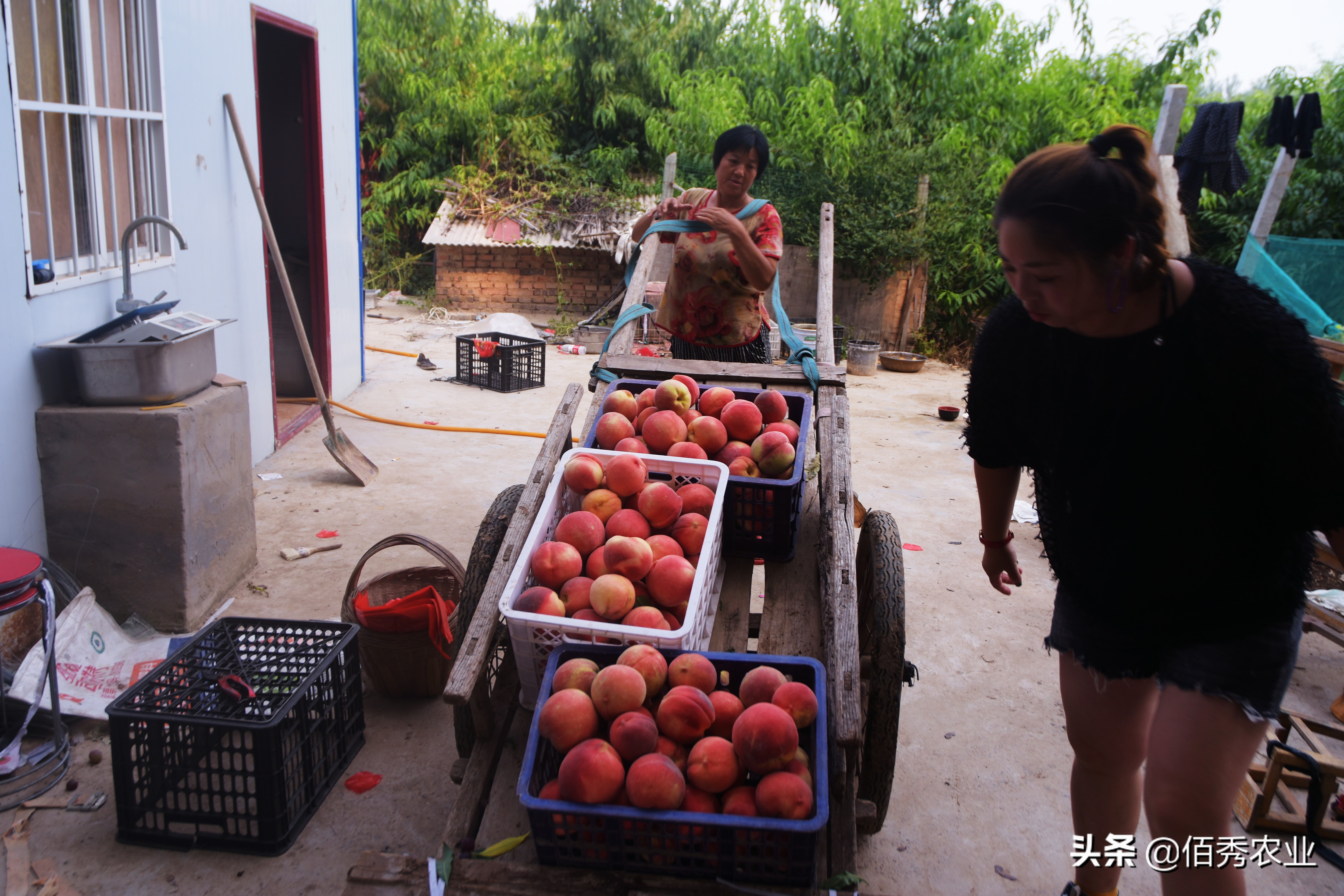 农村人打工赚钱方法有哪些,农村人如何打工赚钱