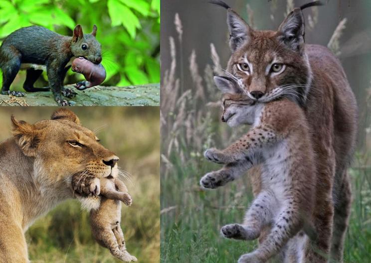 被握住了命运的后脖颈,被抓住了命运的脖颈