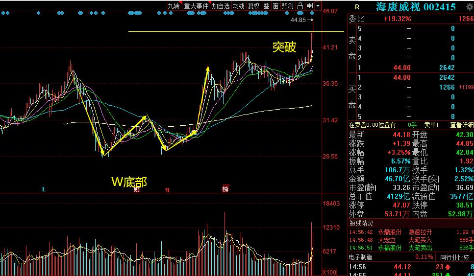 海康威视和大华股份哪个有潜力,海康威视与大华股份对比
