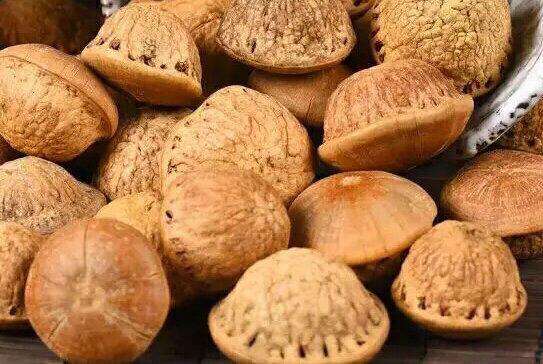 印度神油的主原料壮阳果,你知道它可以食用嘛