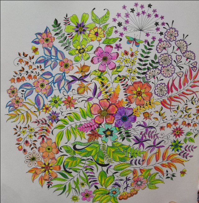 秘密花园涂色步骤教程,秘密花园涂色作品全集图片