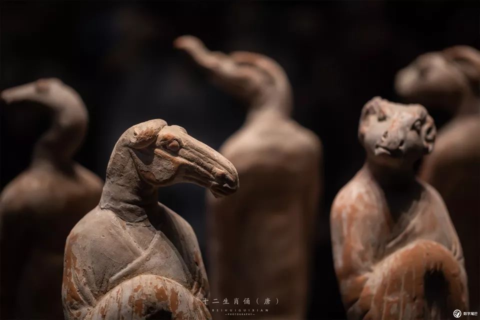 一起去博物馆发现古老的神器,陕西历史博物馆游览全攻略