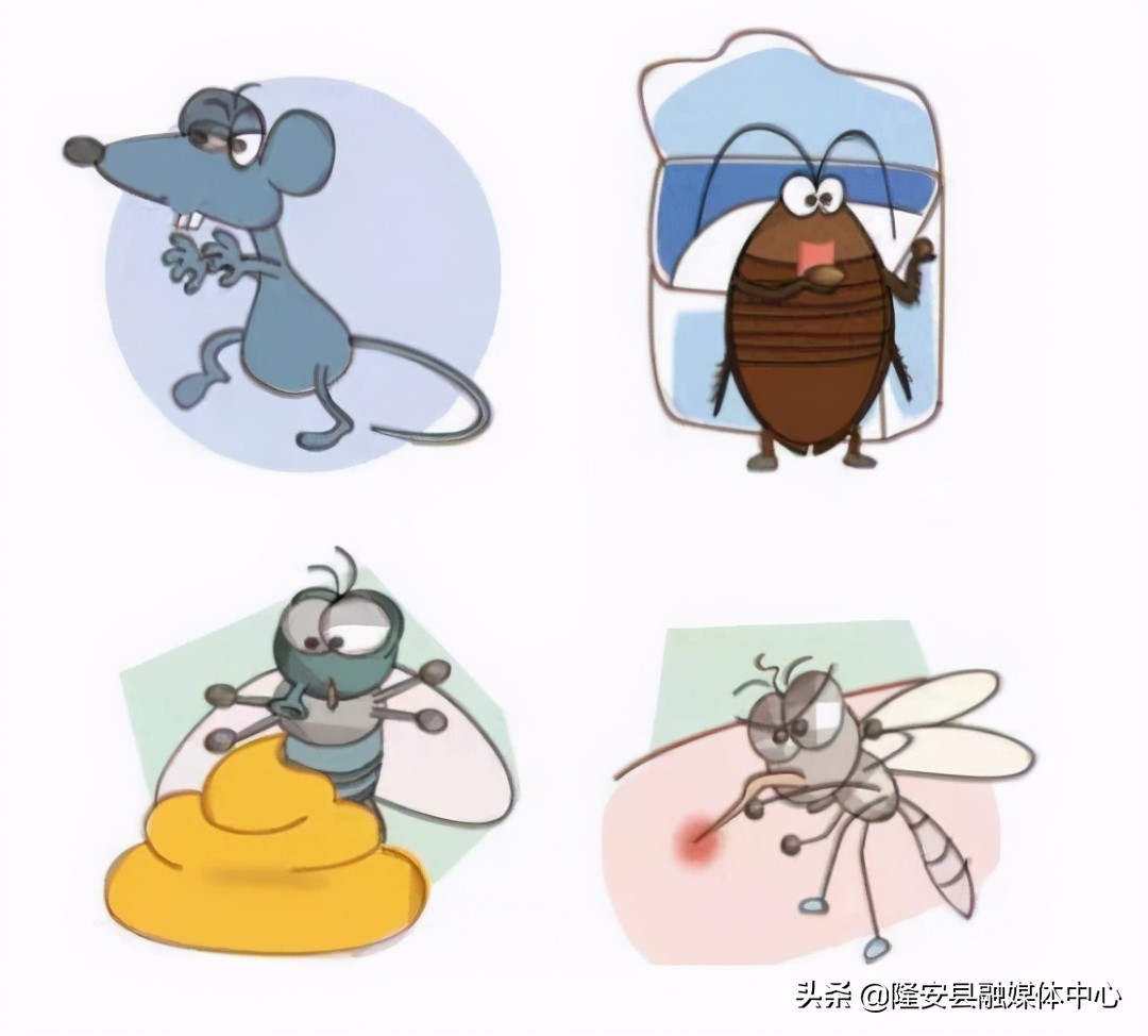 注意！隆安县城各区域除“四害”开始啦