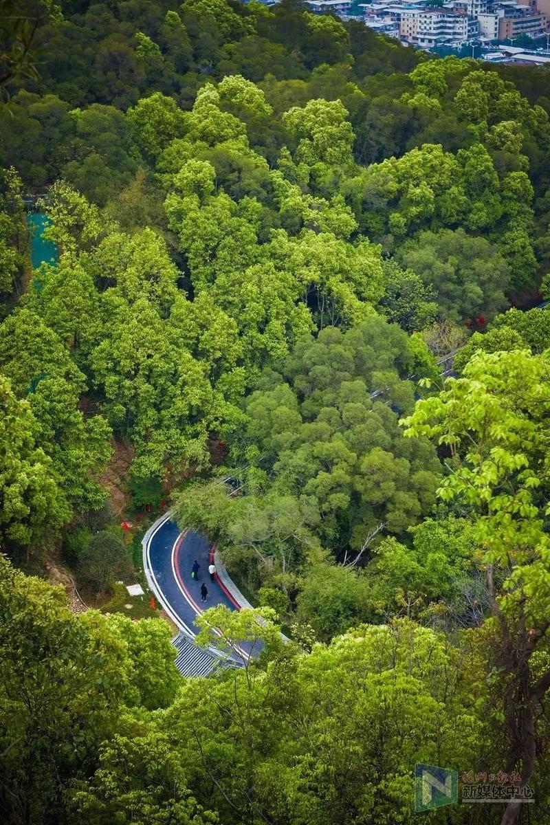 仓山哪里的,现在的仓山