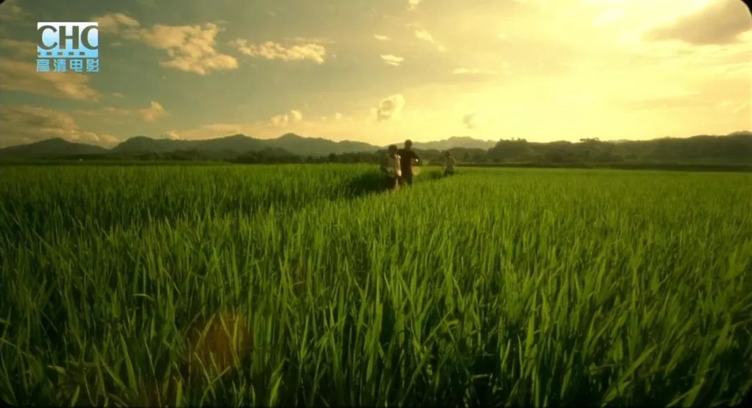 日本票房6亿的中国电影,国内票房破49亿