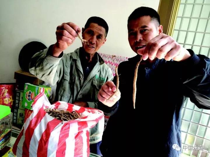 家家门口有捣臼，一座四合院曾住近百人，这里就是永嘉最东的村庄