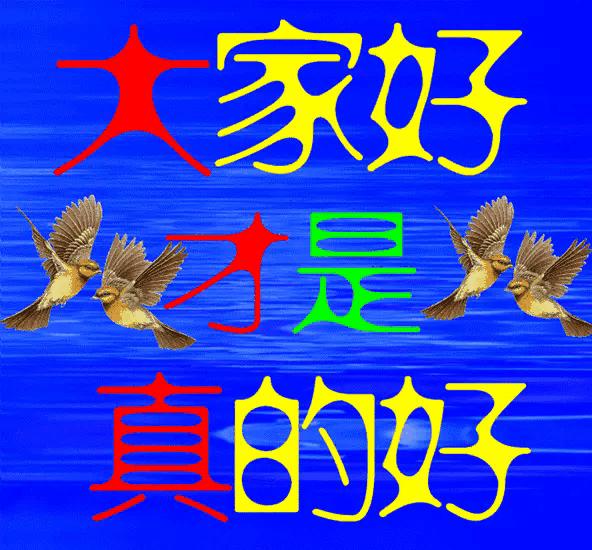 阿弥陀佛保佑您吉祥如意,阿弥陀佛本命守护佛