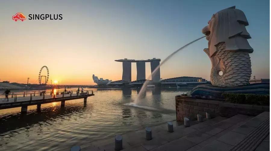 2020新加坡留学签证办理指南,新加坡留学签证会拒签吗