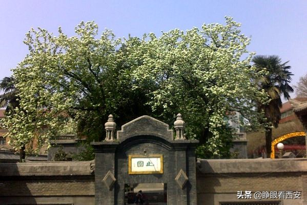 西安市西安公馆,西安城墙张学良公馆