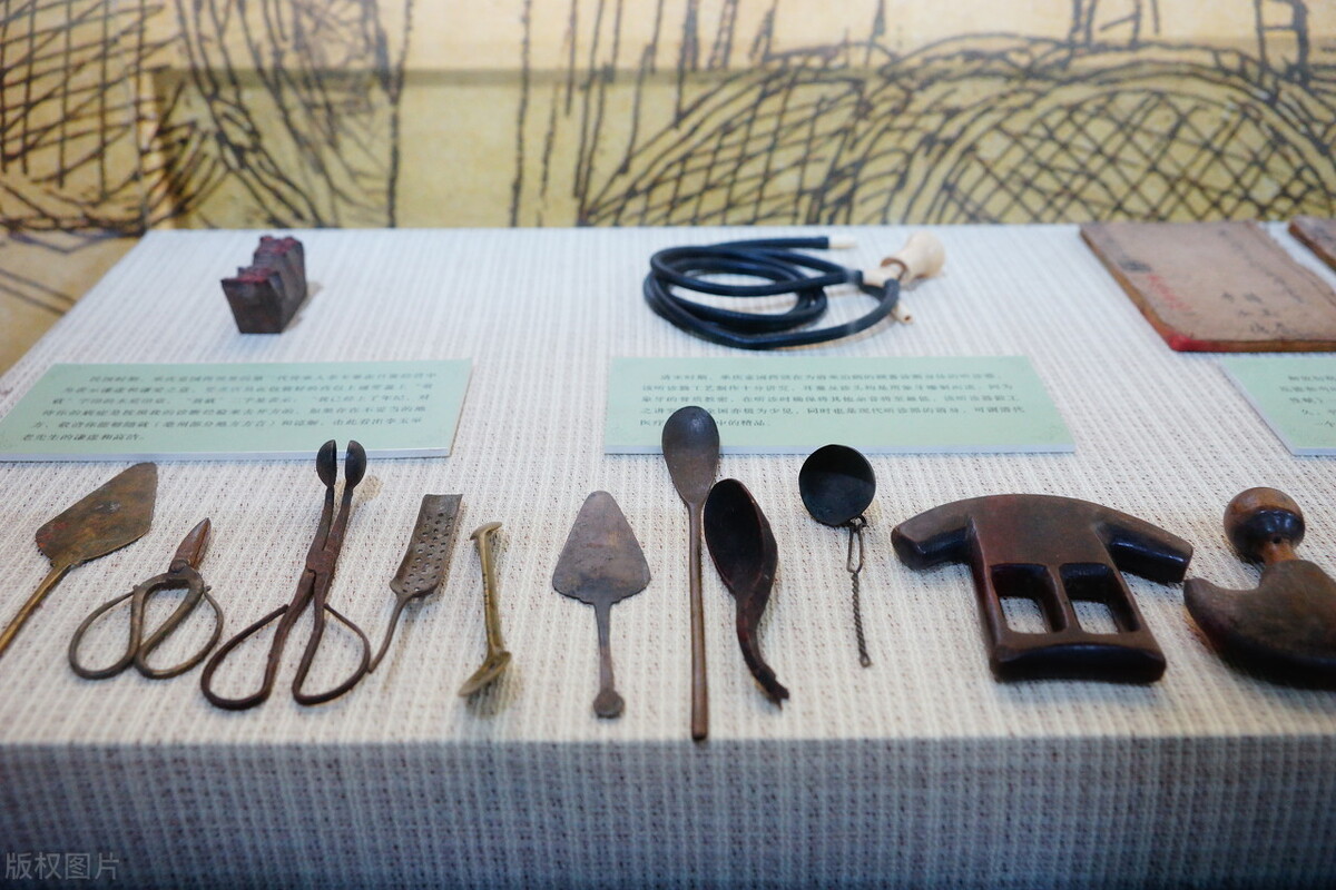 兽医疾病的分类和治疗原则,中兽医的基本知识