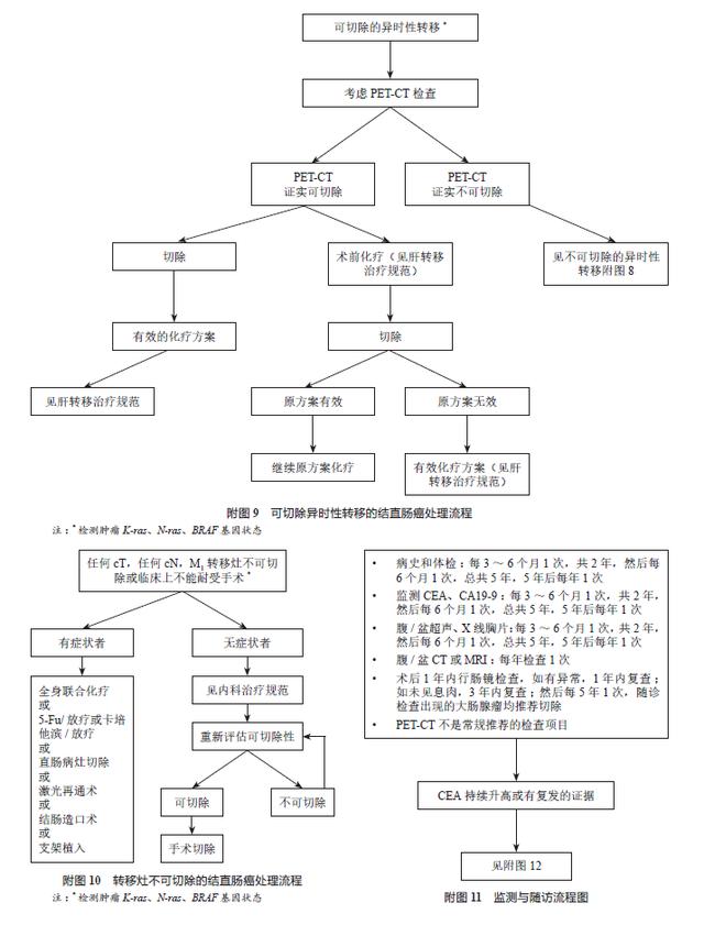 中国结直肠癌诊疗规范(2017年版)