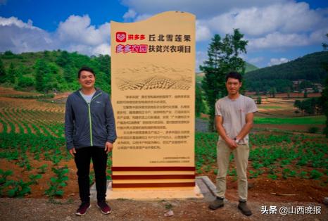 香甜的雪莲果,好吃的雪莲果哪里找