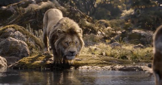 《狮子王》成年度面瘫巨制，但真有那么差吗？