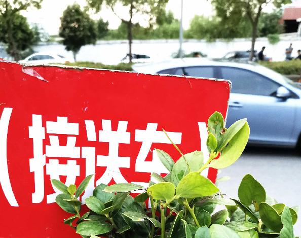 短途接送孩子汽车安全,租车工作日接送孩子