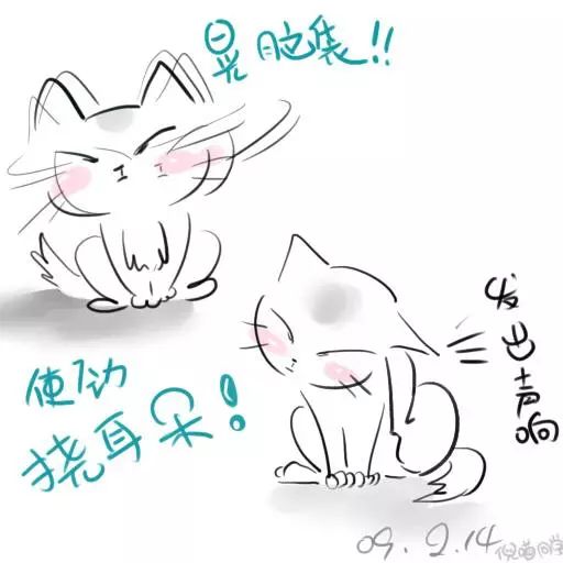 猫病特效药,猫病特效药一览表