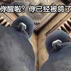 如何区分仙人跳和预防仙人跳,仙人跳遇到仙人跳