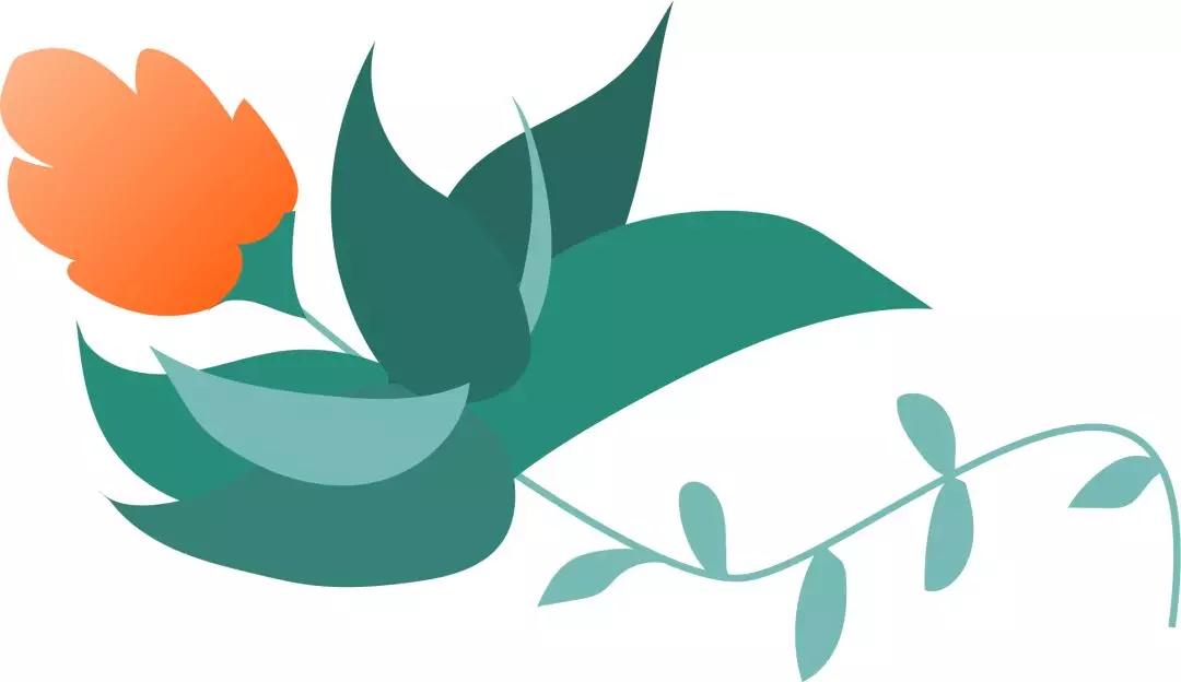 市一技术｜新生命的保护圈——我院开展腹腔镜下宫颈环扎