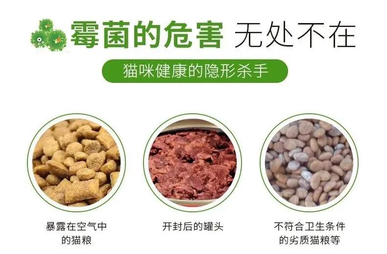 猫九爷:霉菌毒素对犬猫的危害!?