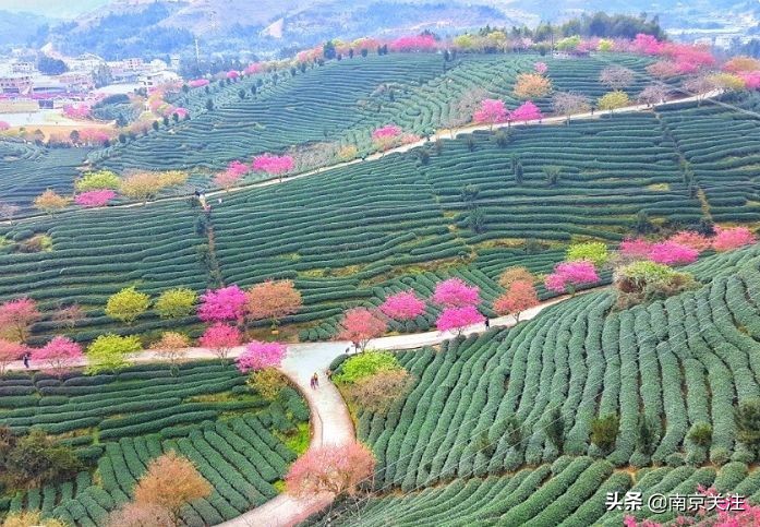 中国最美高铁线路沿途风景,中国最美高铁旅游线路
