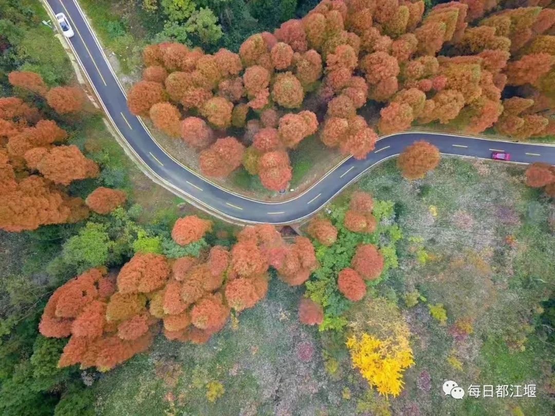 赵公山大熊猫国家生态公园,赵公山大熊猫生态公园