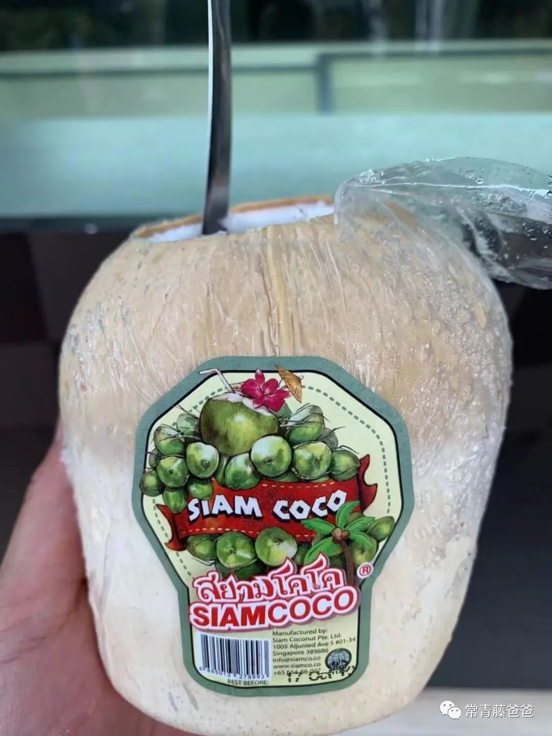 十一新加坡,新加坡5天4晚亲子游推荐哪家