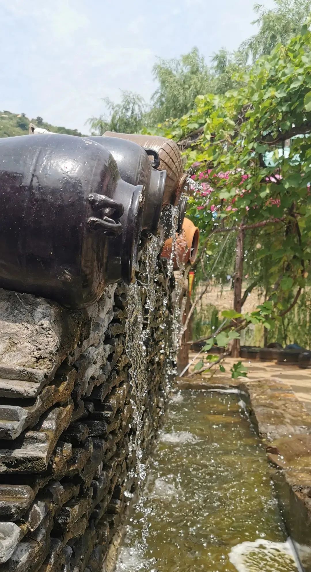 济南适合遛娃的免费去处,春节遛娃好去处济南