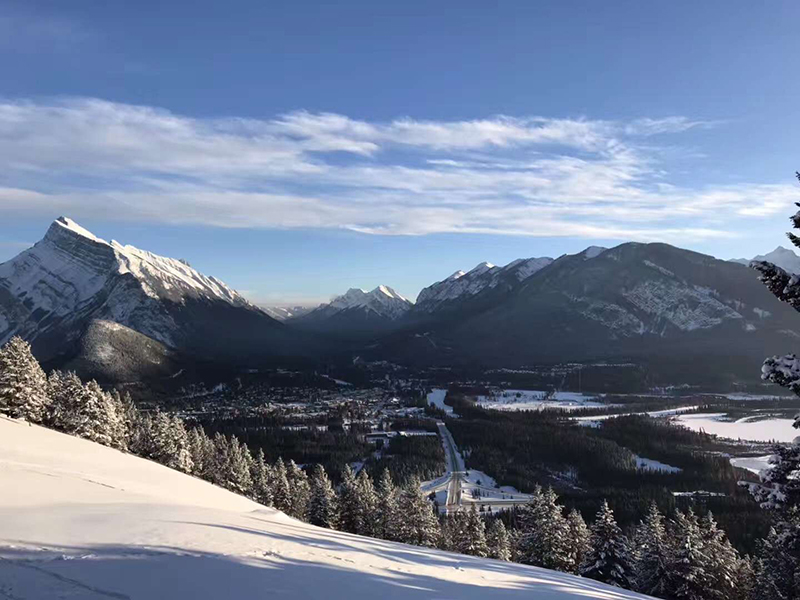加拿大商科留学,加拿大留学商科好就业吗