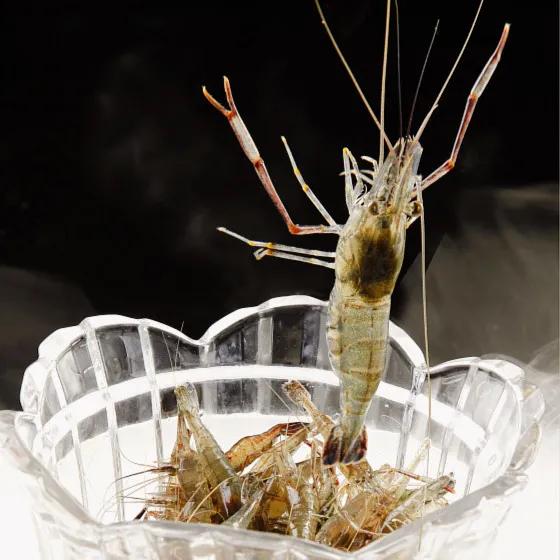 用三年时间雕琢洛河边上的西湖味道，劳斯莱斯级别的美食享受