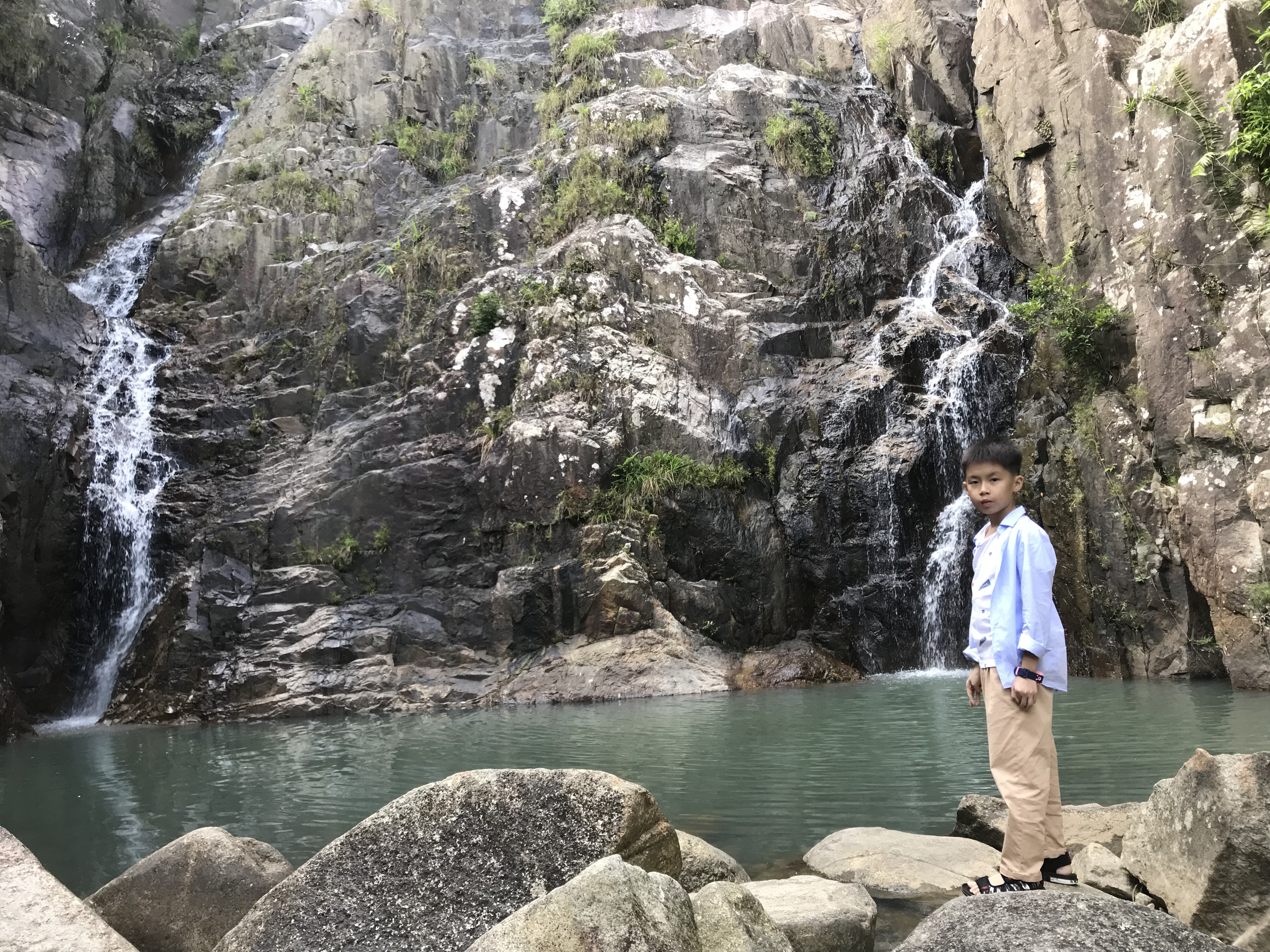 1500年的“母生”藏于此，这里集海南珍稀名木，神奇霸王岭