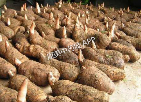 今年天麻行情如何,天麻产量为什么这么少