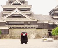 学生*党**的德国药妆清单，让冬季保湿补水自由