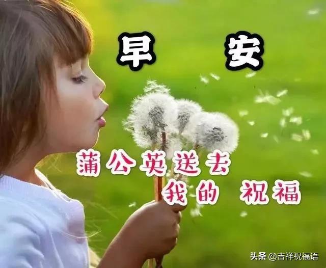 超暖心早上好问候祝福语唯美图片,温馨的祝福暖心的问候早上好图
