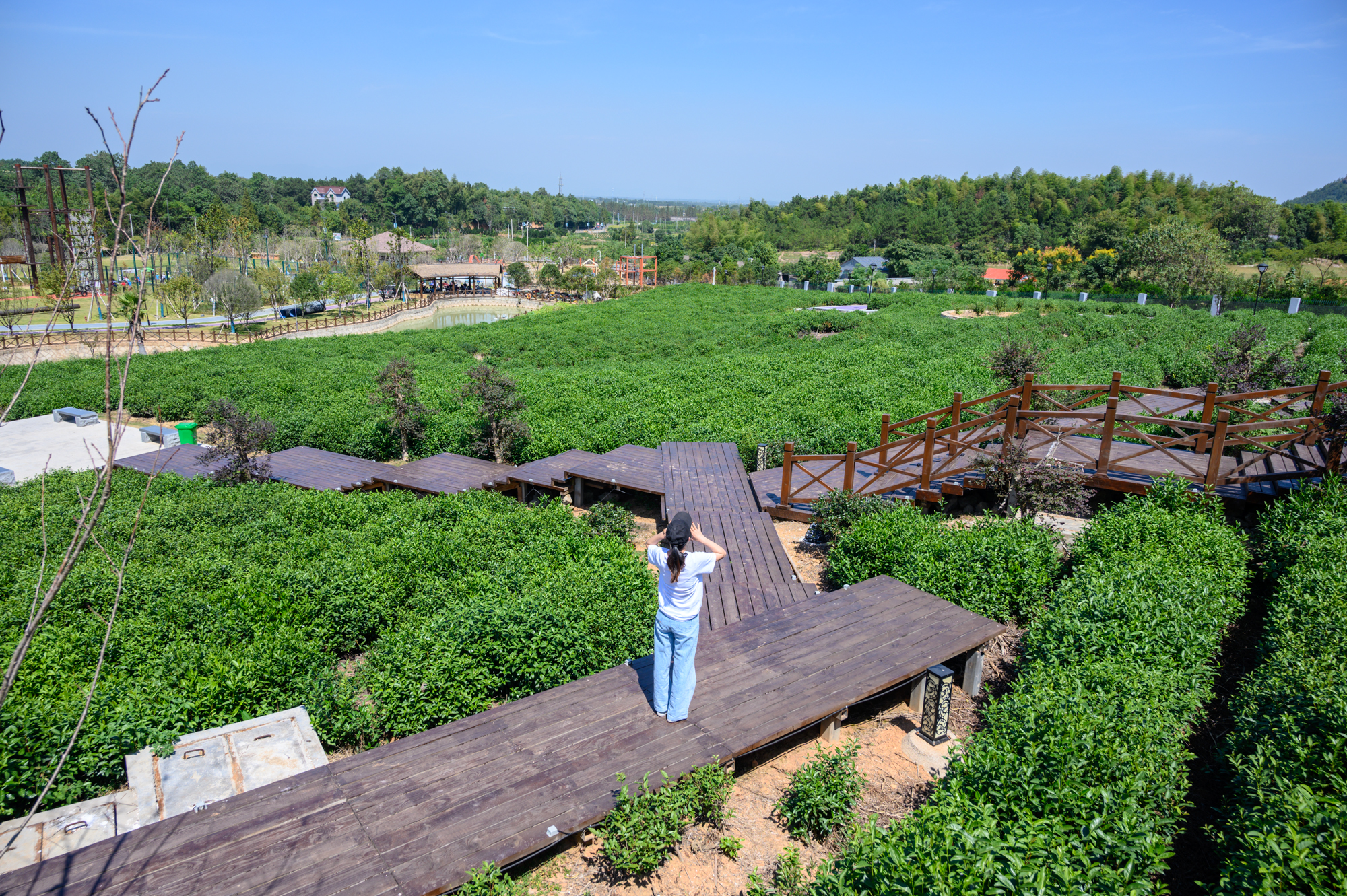 浙江龙游旅游景点大全排名,龙游必去三个景点大全