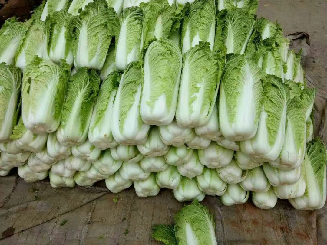 老式咸菜缸,农村老式咸菜缸