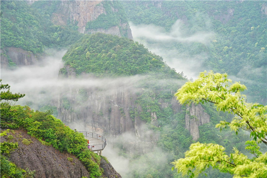 浙江有一个神奇山,浙江山里蝌蚪