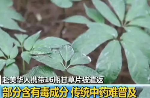 入境美国能带哪些常备药,哪些药不能入境美国