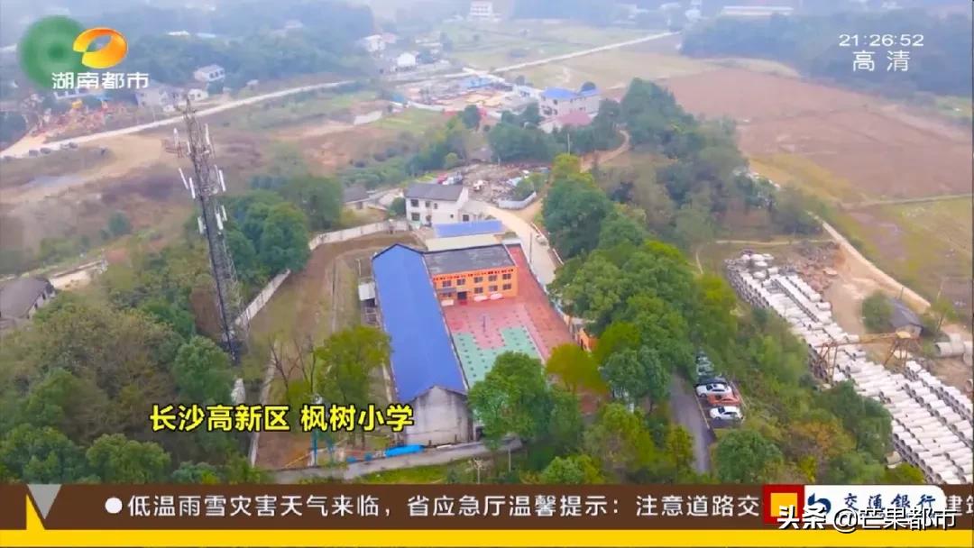 小小老师开讲啦完整视频,小小老师开讲啦