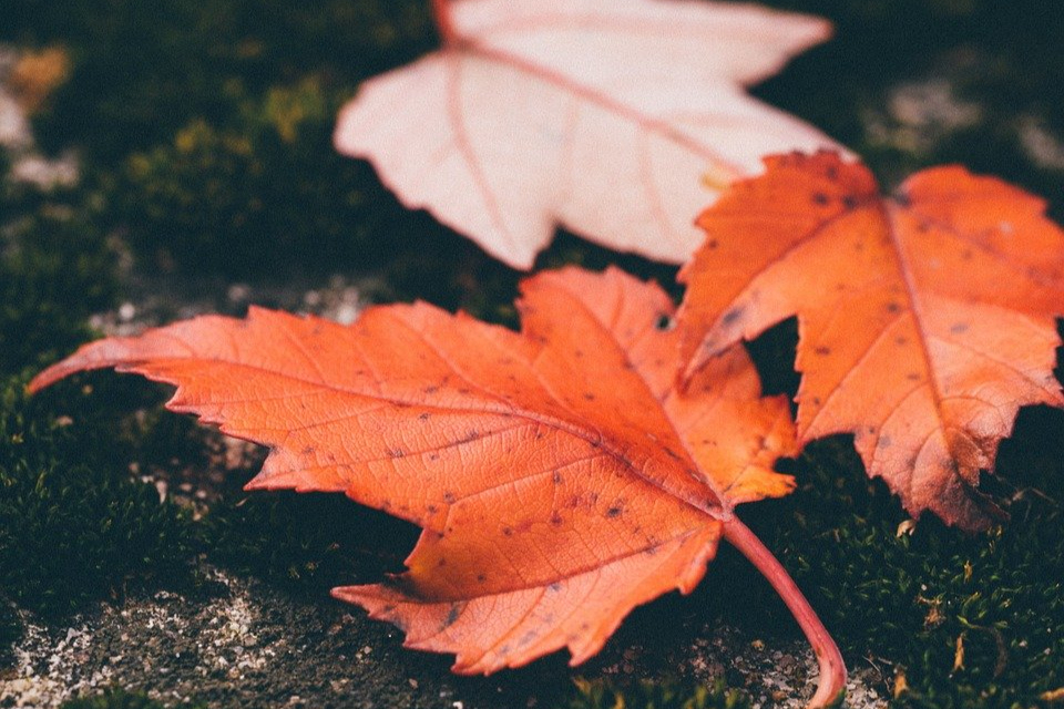 内心极度阴暗的人见不得别人好,内心阴暗的人永远是见不得光的